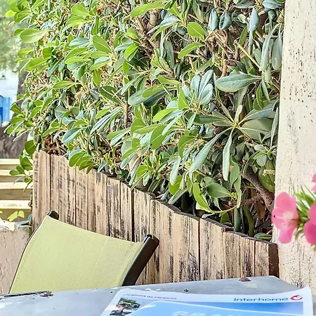 Le Quai Aux Fleurs-8 By Interhome Lägenhet Le Grau-du-Roi